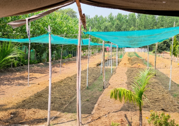 AboutAgri2